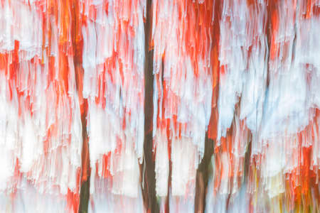 Abstract landscape of red autumn maple trees on lake shore in fall. Image produced by camera motion.の写真素材