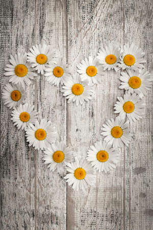 Heart shape of oxeye daisies on distressed wood backgroundの写真素材