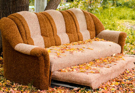 A big old sofa, thrown out on the street and standing under a tree, covered with yellow autumn leaves.の写真素材