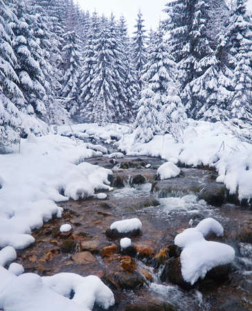 Winter landscape with the river in frosty day の写真素材