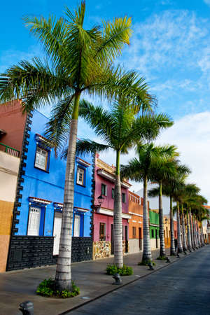 Tenerife. Colourful houses and palm trees on street in Puerto de la Cruz town, Tenerife, Canary Islands, Spainの写真素材
