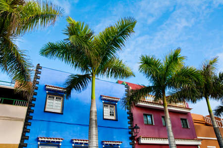 Amazing view on colourful houses and palm trees on street. Location: Puerto de la Cruz town, Tenerife, Canary Islands. Artistic picture. Beauty world.の写真素材