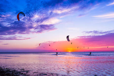 Kite-surfing against a beautiful sunset. Many silhouettes of kites in the sky. Holidays on nature....