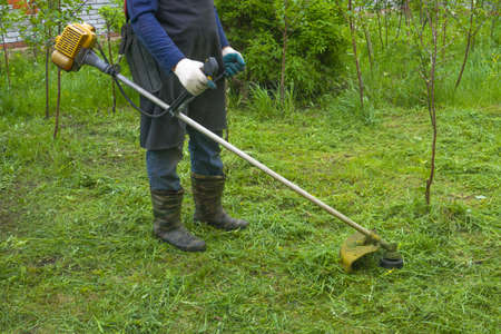 A man in rubber boots mows green grass and white dandelions with a gasoline trimmer. Weed control,...