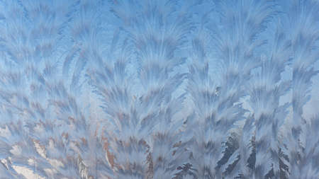 Frosty ice patterns on the glass are dendrites, similar to bizarre plants. Winter, Christmasの写真素材
