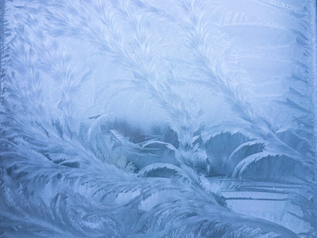 The magical frosty pattern on the window glass resembles outlandish plants. Natural textureの写真素材