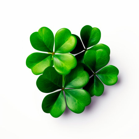Design of shamrocks for Saint Patricks day isolated on white background for cutting out.の素材