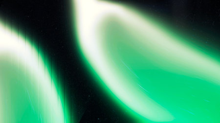 Dark green grainy texture background. Abstract vibrant color wave shape for header or banner promo....