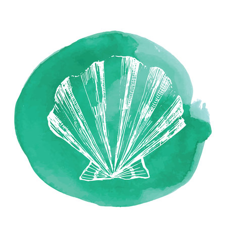 Hand-drawn ink illustration. Sea shell on the emerald green watercolor background. Vectorのイラスト素材