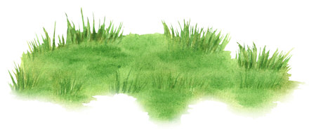 A small meadow with bright green grass. Grassland. Natural landscape clipart. Hand-drawn watercolor illustration. For postcards, scrapbooking designの写真素材