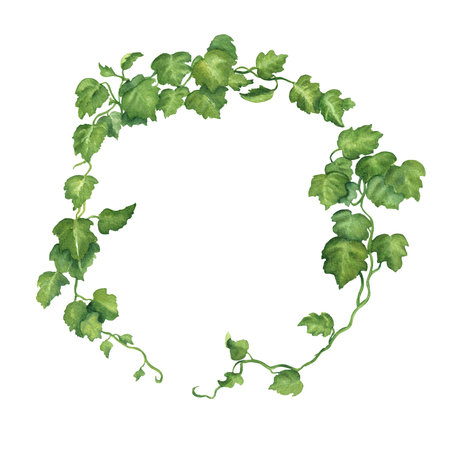 Floral wreath of evergreen ivy leaves. Springtime garden wreath. Circle frame of green ivy. Old garden clipart. Hand-drawn watercolor illustration. For postcards, invitation design.の写真素材