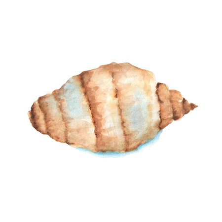 Large spiral beige and blue watercolor seashell. Sea life isolated element. Aquarium decoration. Seabed. Underwater world biome clipart. Hand-drawn watercolor illustration.の写真素材