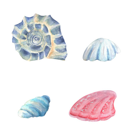 A bundle of four small watercolor seashells. Pink, blue, white and turquoise seashells. Sea life...