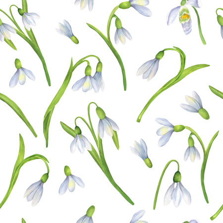 Seamless pattern with springtime watercolor snowdrops. Floral design with white flowers. Hand-drawn illustration for fabric, wrapping paper, clothes, postcards, wedding invitationsの写真素材
