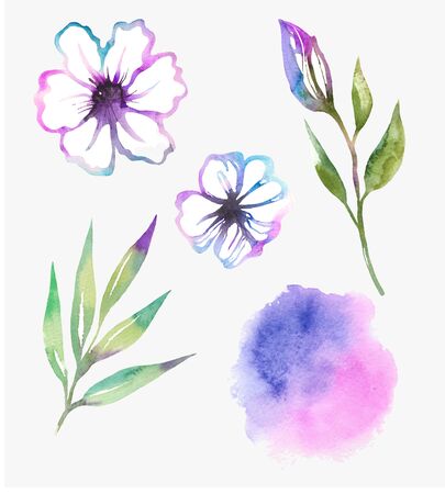 floral design set with abstract flowers watercolor. Summer flowers in hand drawn style on white. For textile, paper, wrapping and decorationの写真素材