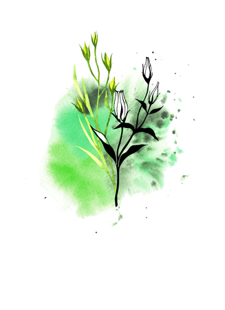 Flowers and leaves of eustoma flower in hand drawn sketch style. Black and white illustration on blob watercolor background.の写真素材