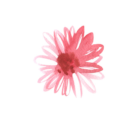 Golden-daisy flowers watercolor as design element. Hand drawn painting. Sketch style. Botanical illustration for textile, print, paper and decoration. Isolated on white background.の写真素材