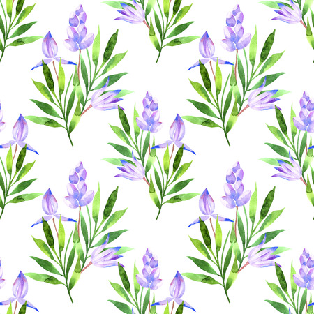 Sweet spring seamless pattern watercolor. Flowers primrose in hand drawn style. White background.の写真素材