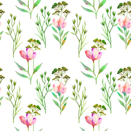 Floral seamless pattern with wildflowers and weeds. Hand drawn style watercolor. Sweet summer background on white. For paper, textile, wallpaper and decorationの写真素材