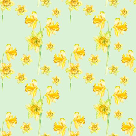 Floral seamless pattern with yellow narcissus watercolor. Spring floral background. Hand drawn paintingの写真素材