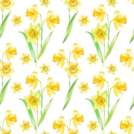 Floral seamless pattern with yellow narcissus watercolor. Spring floral background. Hand drawn paintingの写真素材
