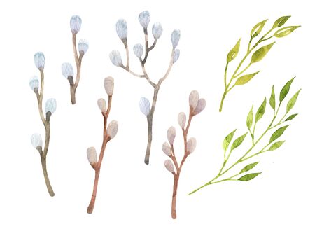 Easter willow set watercolor. Hand drawn leaves and branches. Easter design elements isolated on white background.の写真素材