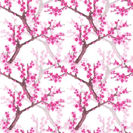 Spring floral seamless pattern with flowering sakura in hand drawn watercolor style. Romantic background on white.の写真素材