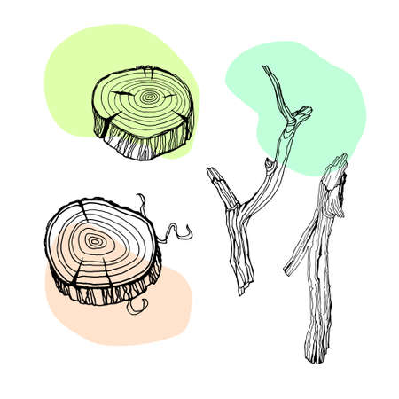 Design set with wood twigs and logs. Tree branches and stumps in hand drawn style. Ink line sketch on colorful blobs background. Vector illustration.のイラスト素材