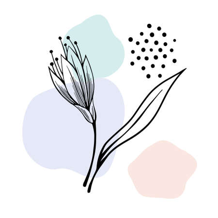 Floral Set with Abstract flowers and leaves as design element. Hand drawn line sketch. Nice vector background on white.のイラスト素材
