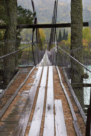 The mysterious bridge. Nature. Forestの写真素材