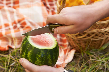 Cut watermelon. Arms. Picnic. Glade. Blanket.の写真素材