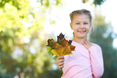 Autumn portrait. Little girl. Child. Sheet. Nature.の写真素材