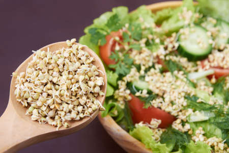 Sprouts. Green buckwheat. Health. Vegetarianism. Salad.の写真素材