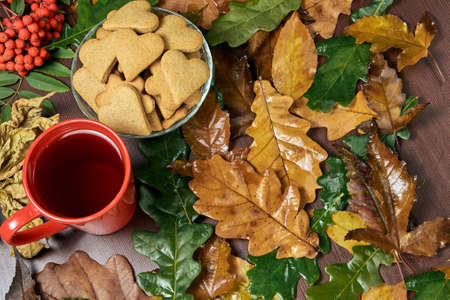 Autumn still life. Heart cookie. Black tea. Different leaves. Rowan branch.の写真素材
