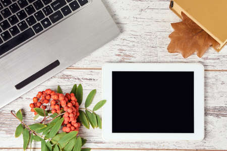 Tablet and laptop. Rowan branch. Modern technologies.の写真素材