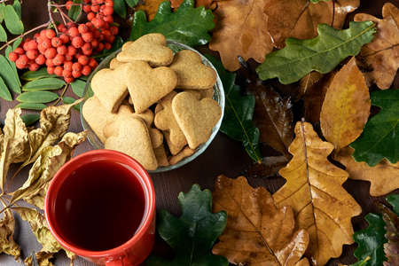 Autumn still life. Heart cookie. Black tea. Rowan branch. Different leaves.の写真素材