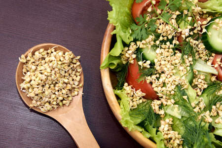Prospects buckwheat. Fresh vegetable salad. Brown background.の写真素材