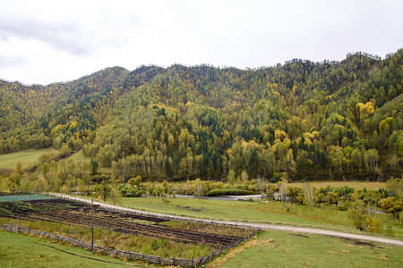 Autumn landscape. Mountain landscape. Large green forest.の写真素材