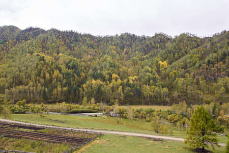 Autumn landscape. Large green forest. Mountain landscape.の写真素材