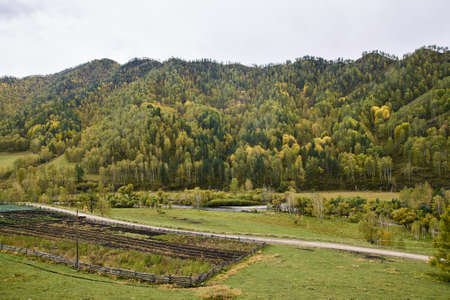 Mountain landscape. Large green forest. Autumn landscape.の写真素材