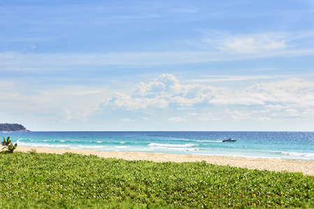 Juicy green grass. Blue sea.の写真素材