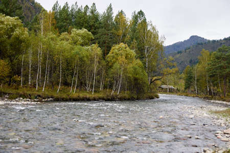 Beautiful autumn landscape. River flow. Mountain landscape.の写真素材