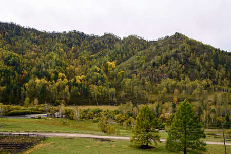 Autumn landscape. Large green forest. Mountain landscape.の写真素材