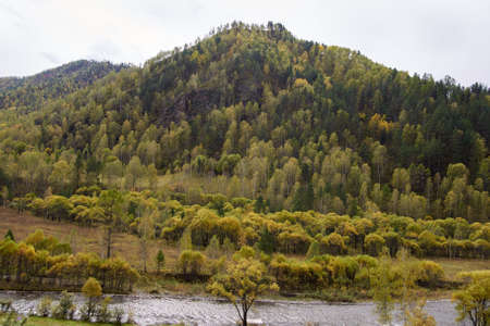 High mountain. Autumn forest. Cold river.の写真素材
