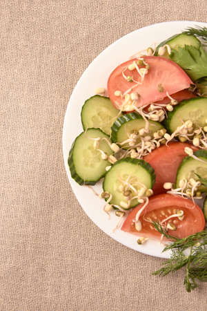 Sprouted beans. Light background. Tomato and cucumber.Fresh salad.の写真素材