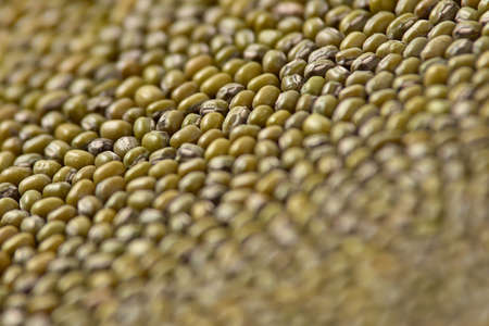 Many green beans. Cooking healthy food.の写真素材