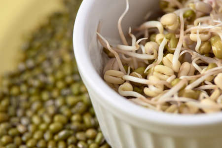 Green beans. Fresh sprouts. White cup. Healthy food.の写真素材