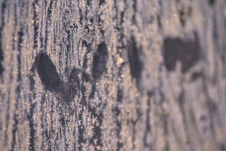 Inscription on glass. Winter beautiful pattern.の写真素材