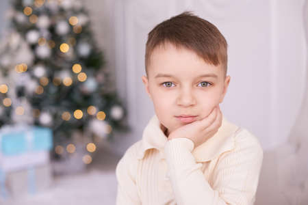 Beautiful portrait. Christmas interior. Little boy. Horizontally.の写真素材