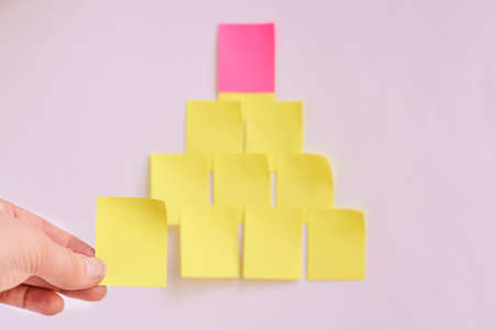 Yellow stickers. Unusual tree. White background. Bright colors.の写真素材